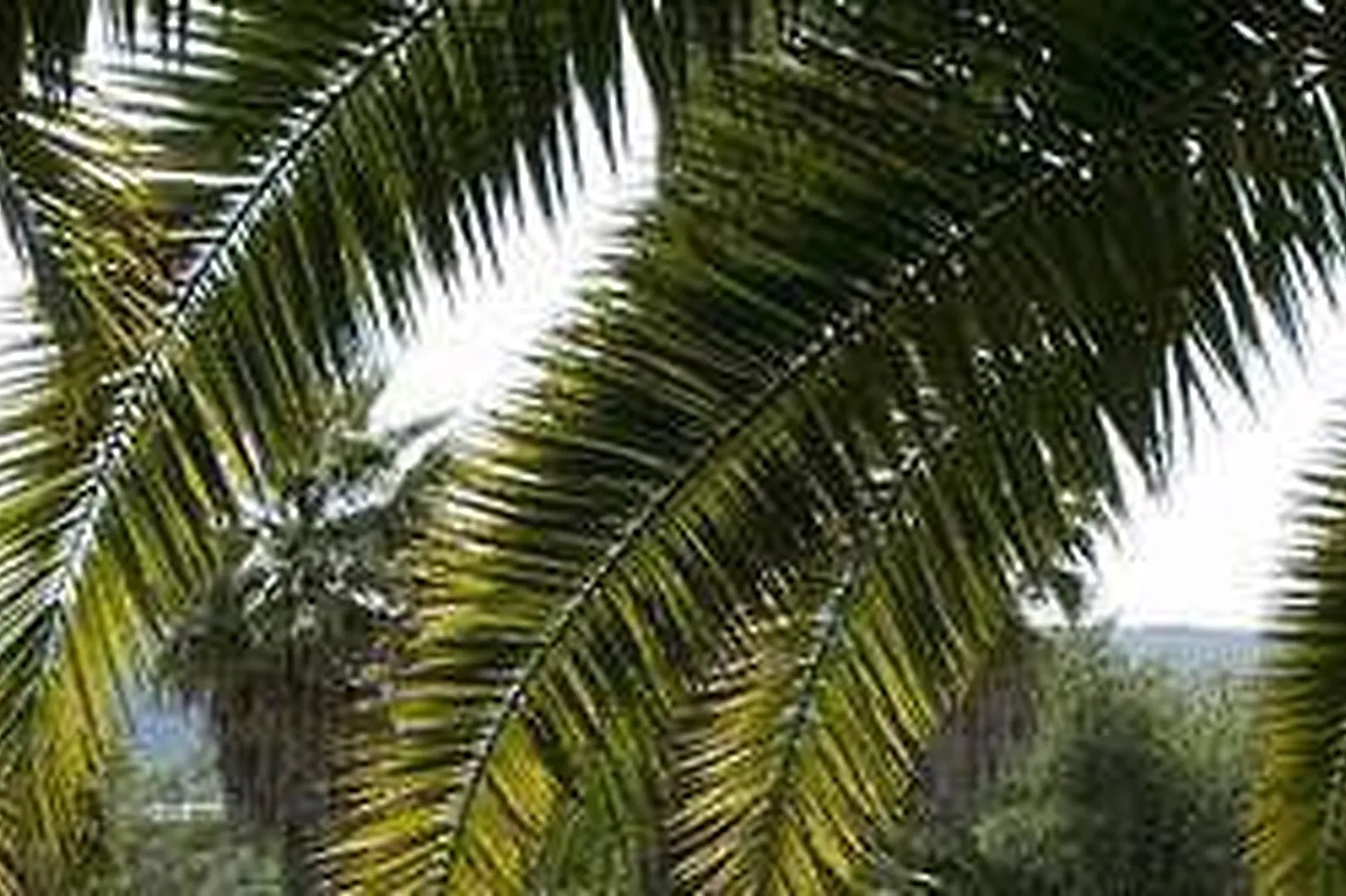 Lieux événementiels, HÔTEL PROMOTEL CARROS ***