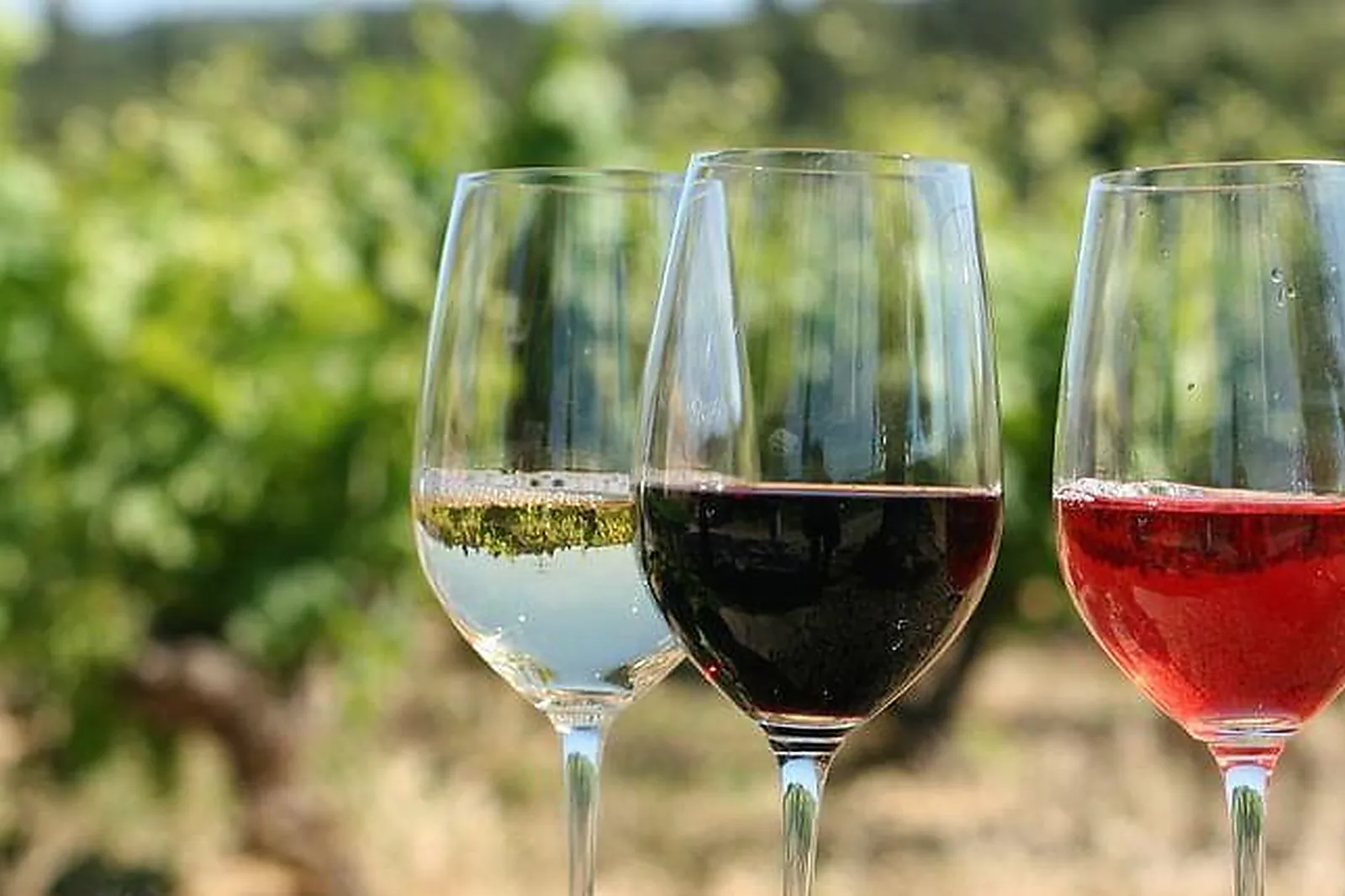 Lieux événementiels, HÔTEL RESTAURANT LE GARDON