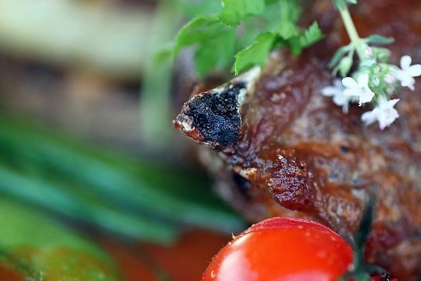 Lieux événementiels, HÔTEL RESTAURANT LE GARDON