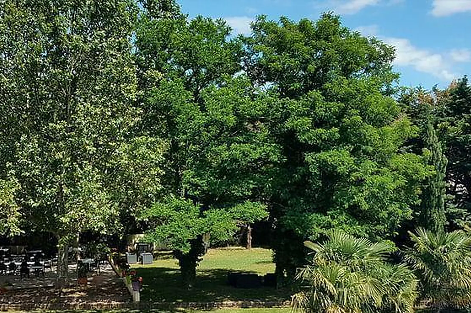 Lieux événementiels, HÔTEL RESTAURANT SPA LES OLIVIERS ***