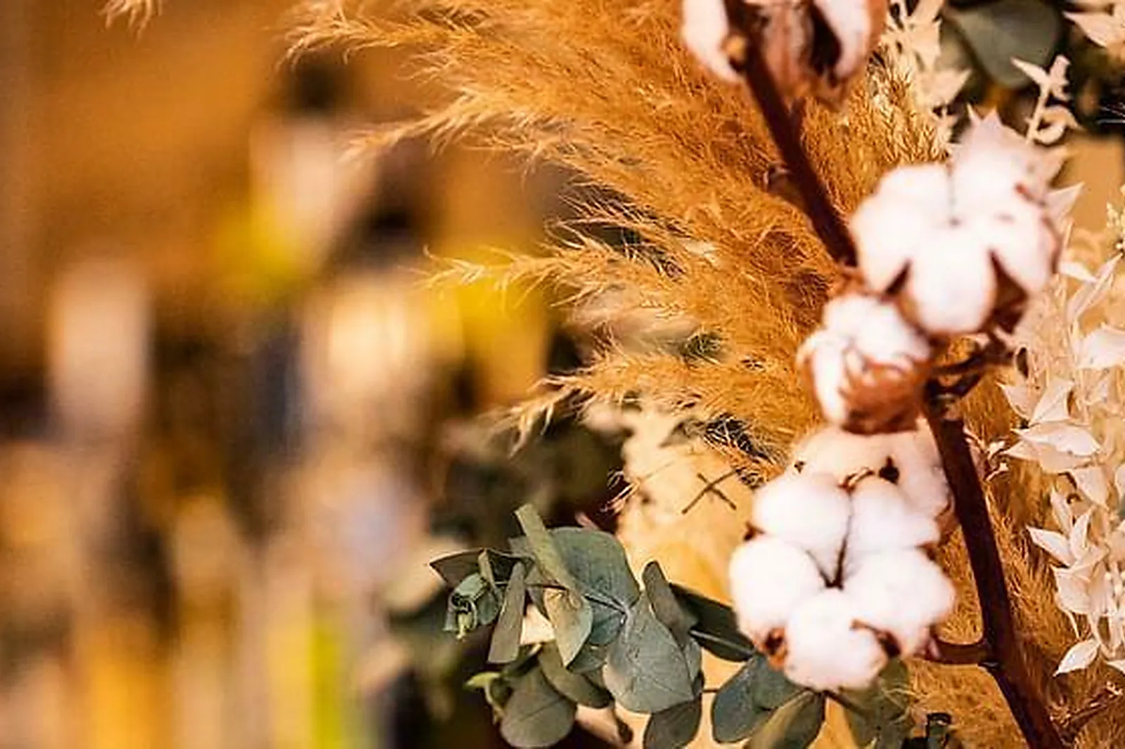 Lieux événementiels, HÔTEL RESTAURANT TAGGAT