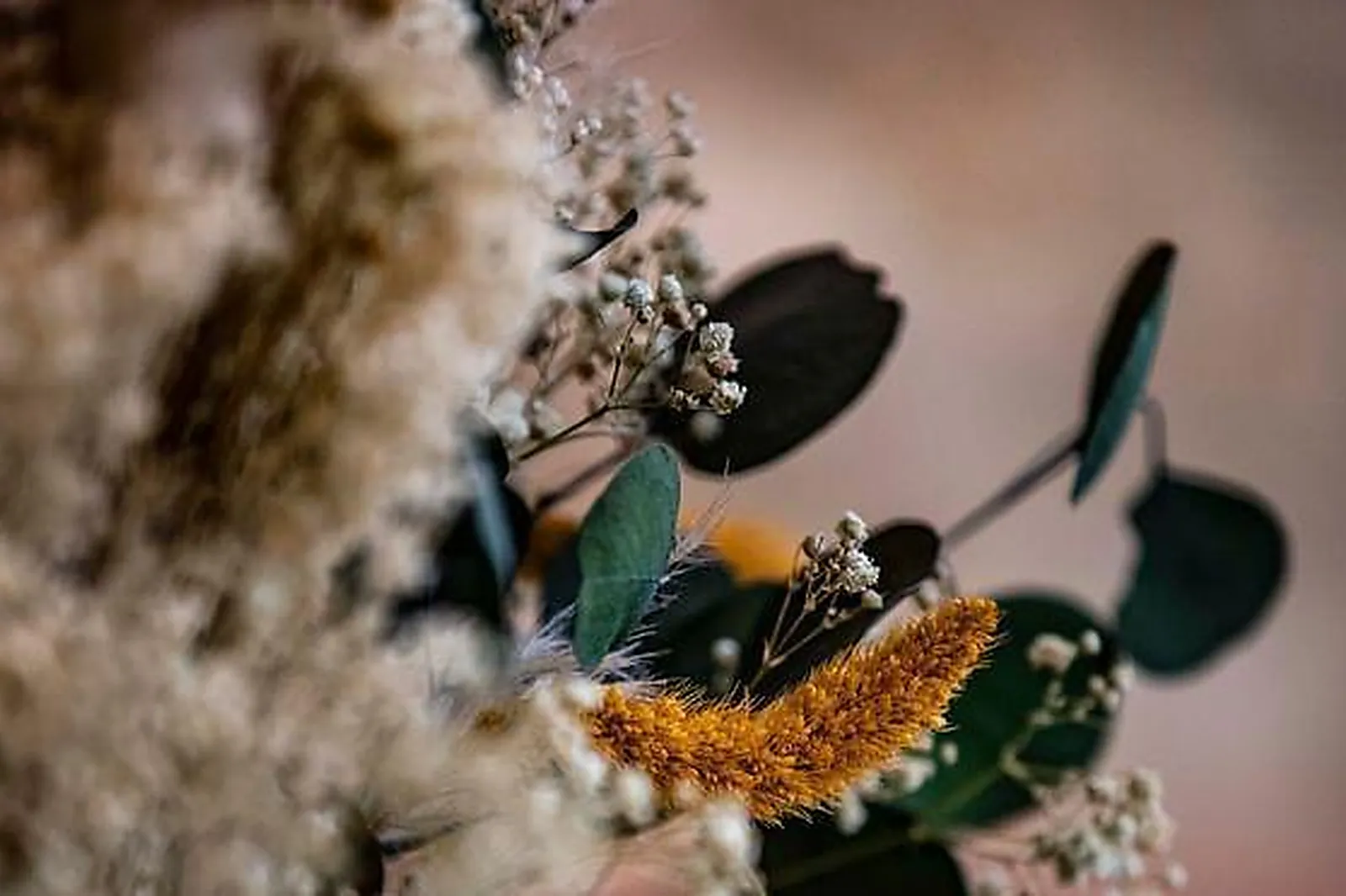 Lieux événementiels, HÔTEL RESTAURANT TAGGAT