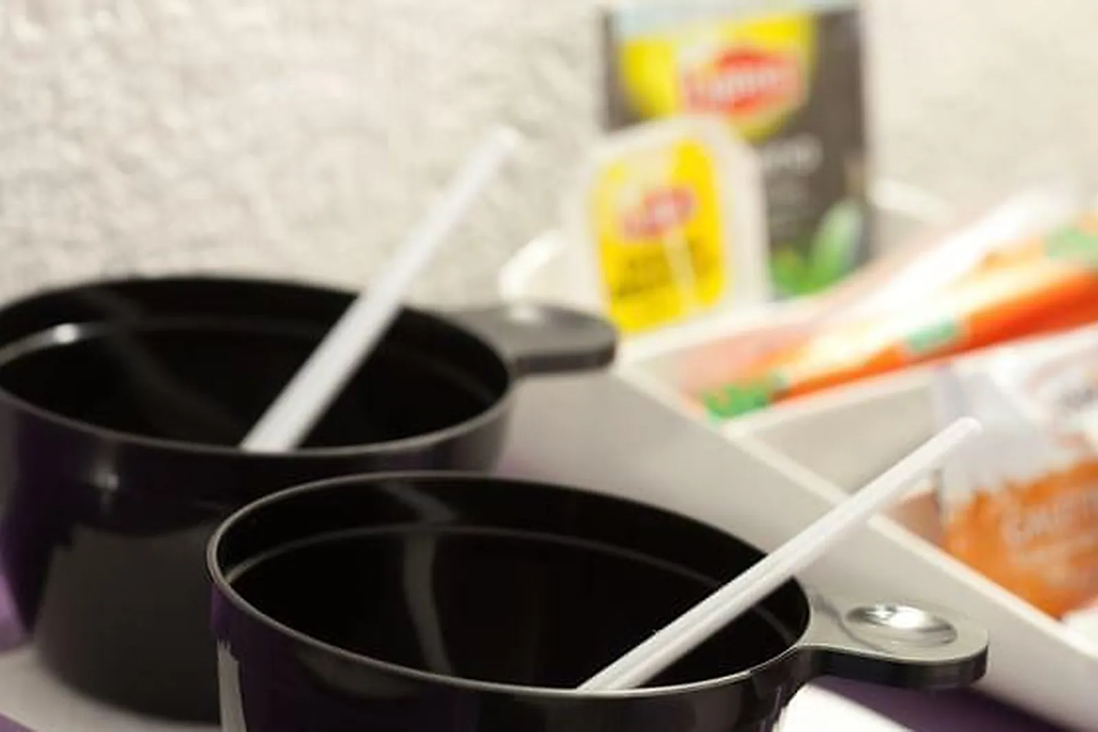 Lieux événementiels, HÔTEL RESTAURANT THE ORIGINALS ALIZEA***