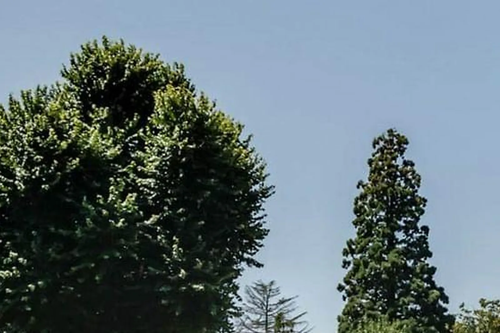 Lieux événementiels, HÔTEL VILLA LOUISE ***