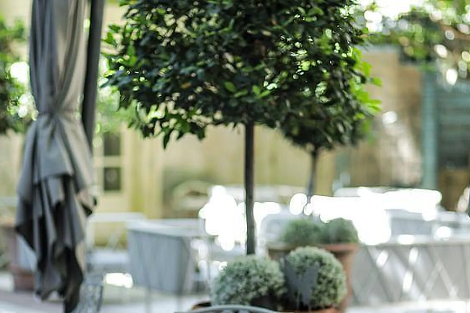 Lieux événementiels, HÔTEL D'EUROPE *****