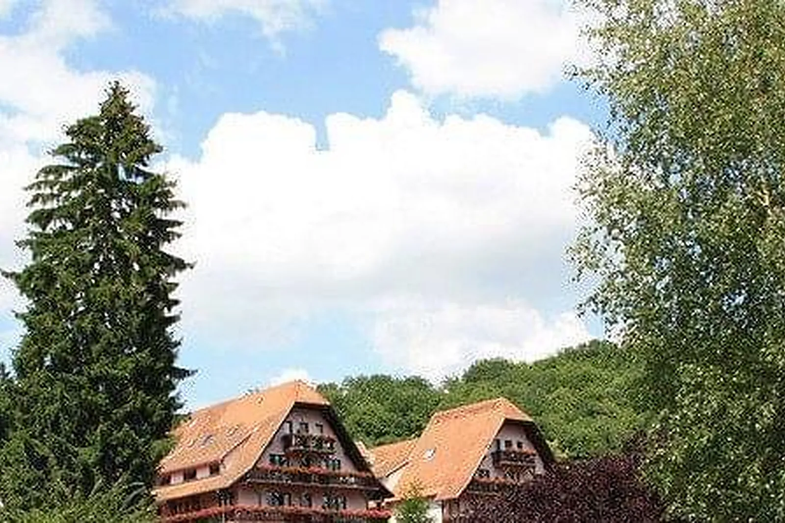 Lieux événementiels, HÔTEL DES VOSGES KLINGENTHAL ***