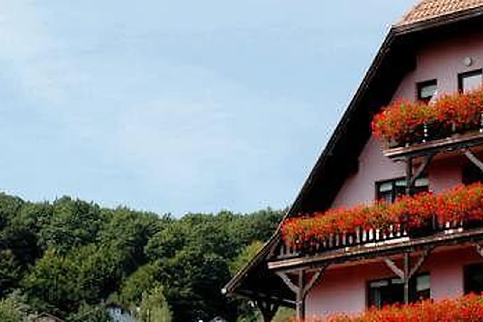 Lieux événementiels, HÔTEL DES VOSGES KLINGENTHAL ***