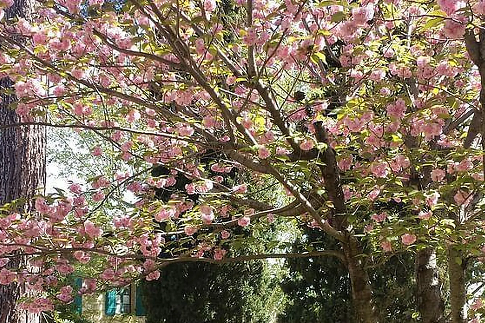 Lieux événementiels, HÔTEL LA MAGNANERAIE ****