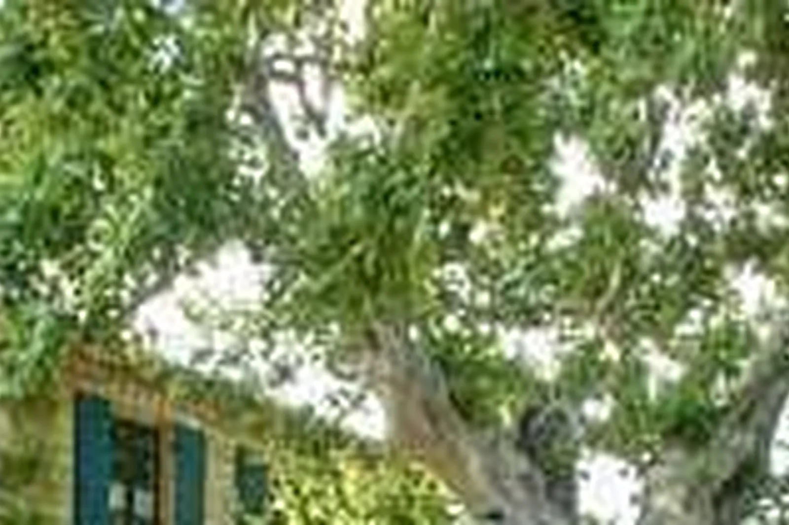 Lieux événementiels, HÔTEL LA MAGNANERAIE ****