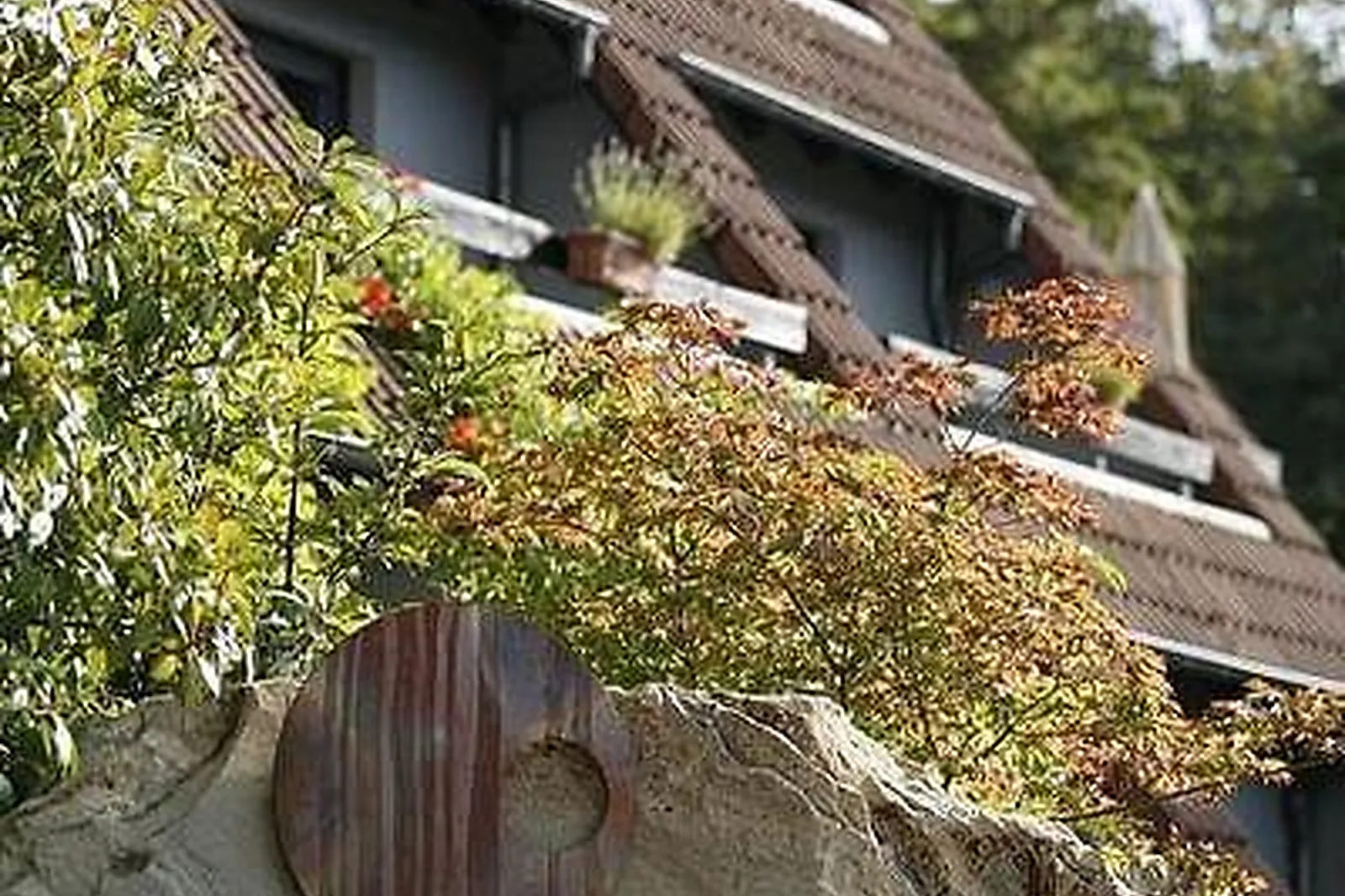 Lieux événementiels, HÔTEL LA CLAIRIERE ****