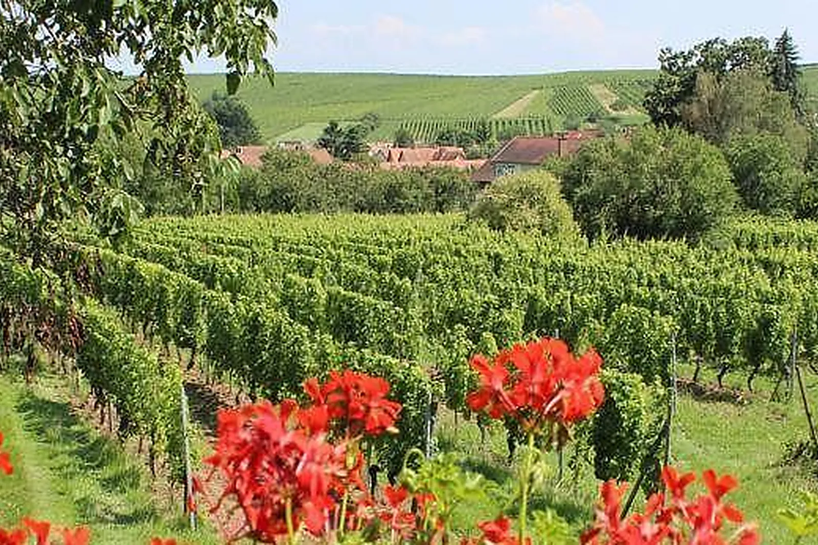 Lieux événementiels, HÔTEL LE KASTELBERG THE ORIGINALS ***