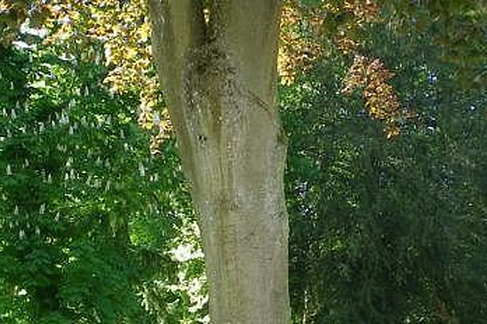 Lieux événementiels, JULES VERNE MANUFACTURING ACADEMY