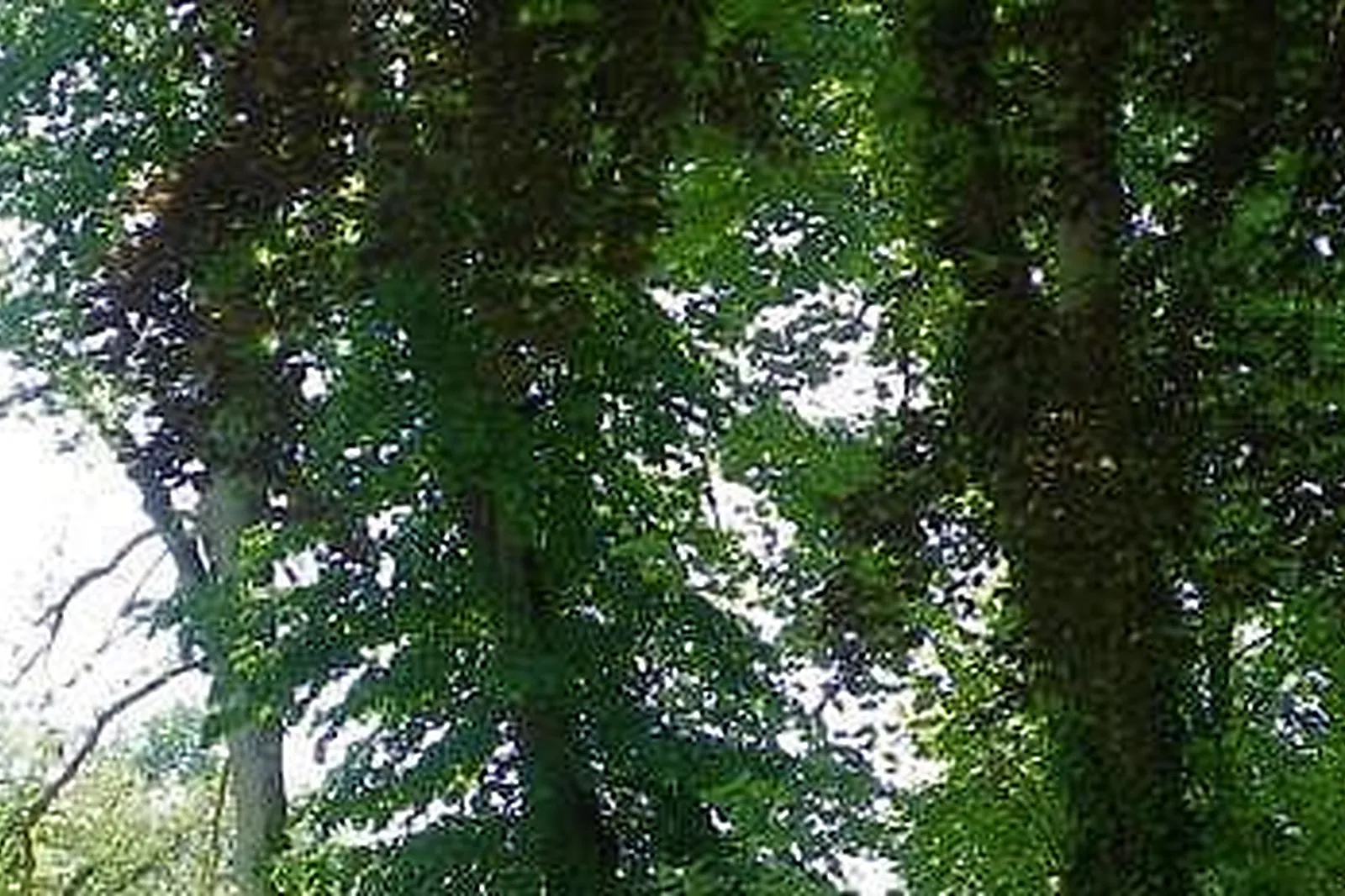 Lieux événementiels, JULES VERNE MANUFACTURING ACADEMY