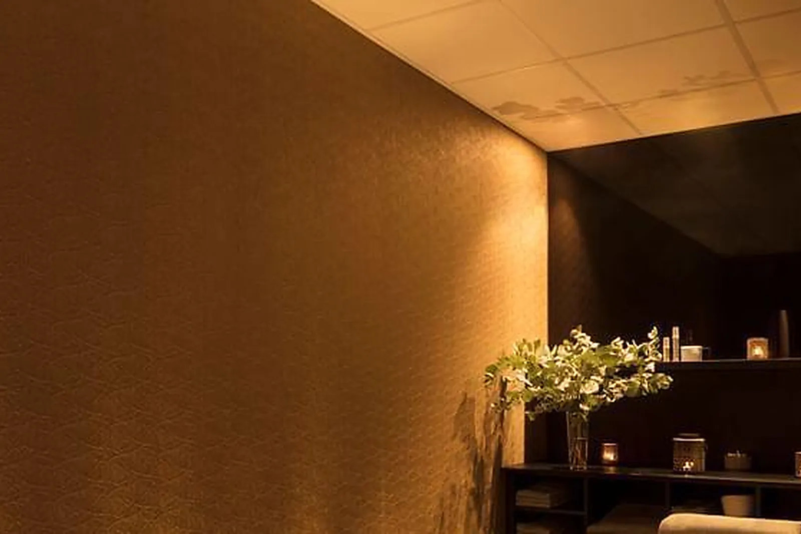 Lieux événementiels, ILY HOTELS LA ROSIERE ****