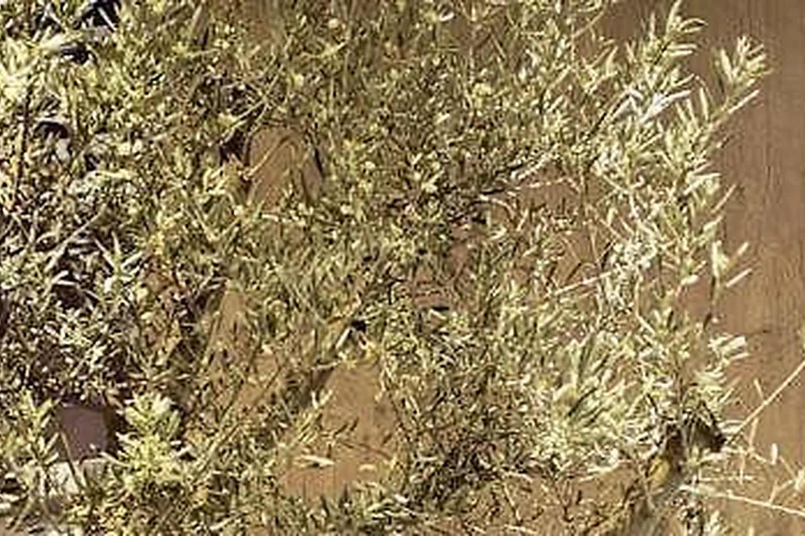 Lieux événementiels, IBIS PARIS PORTE D'ITALIE ***