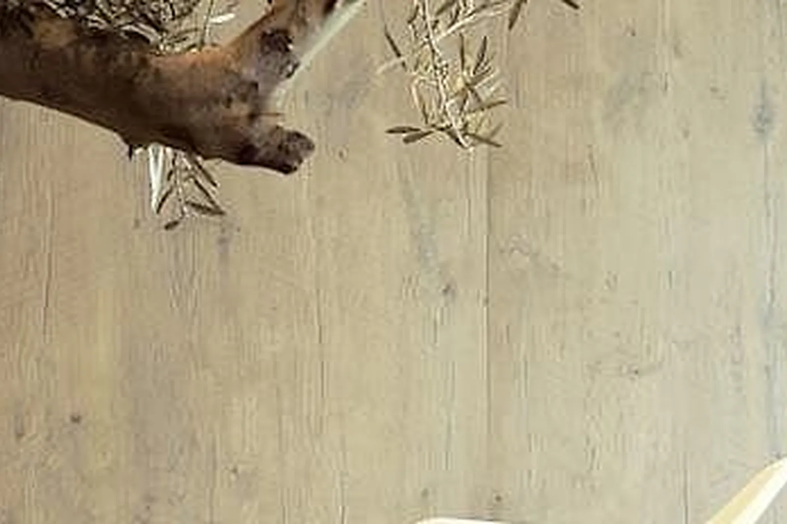 Lieux événementiels, IBIS PARIS PORTE D'ITALIE ***