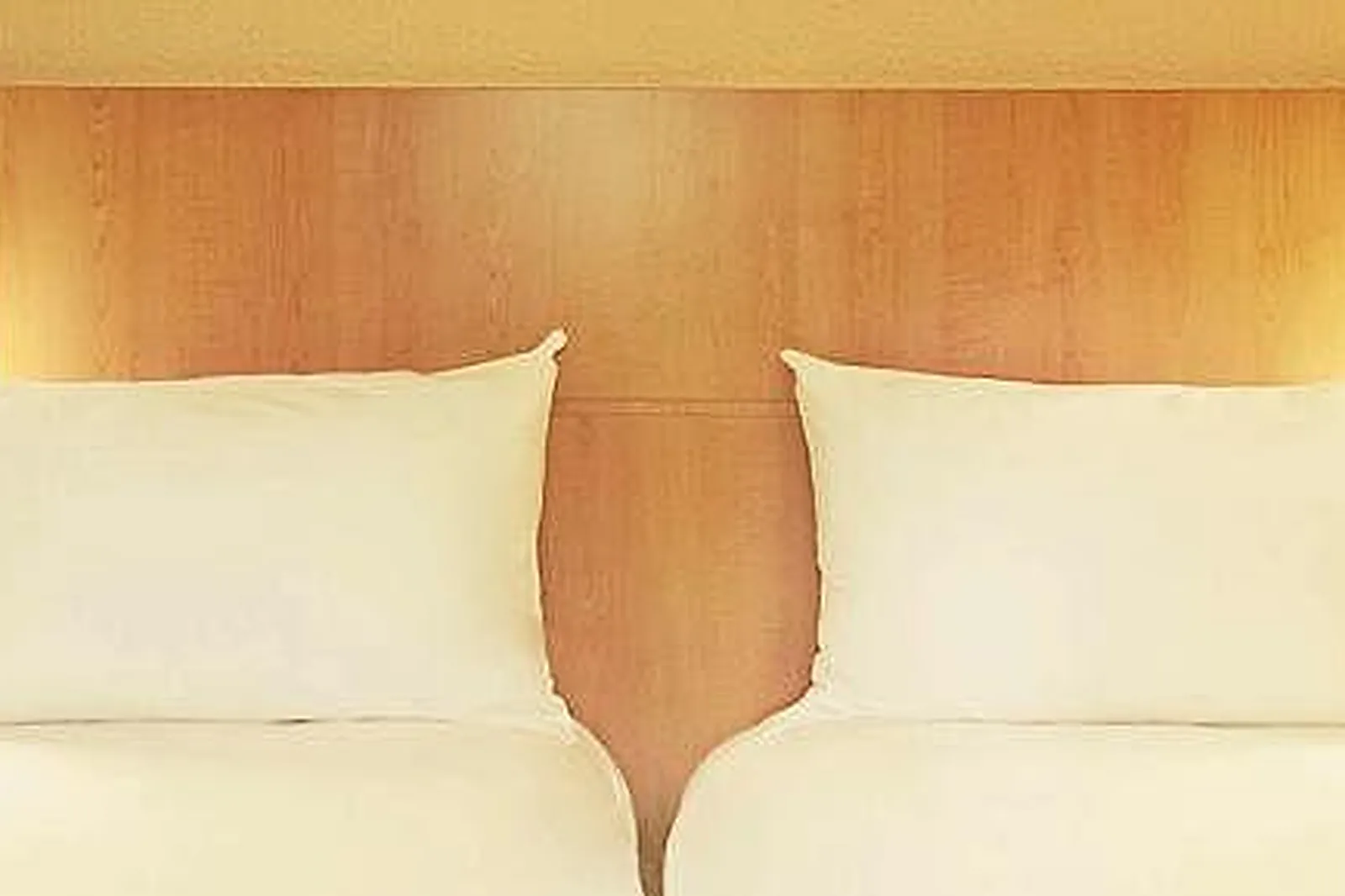 Lieux événementiels, IBIS RENNES BEAULIEU ***