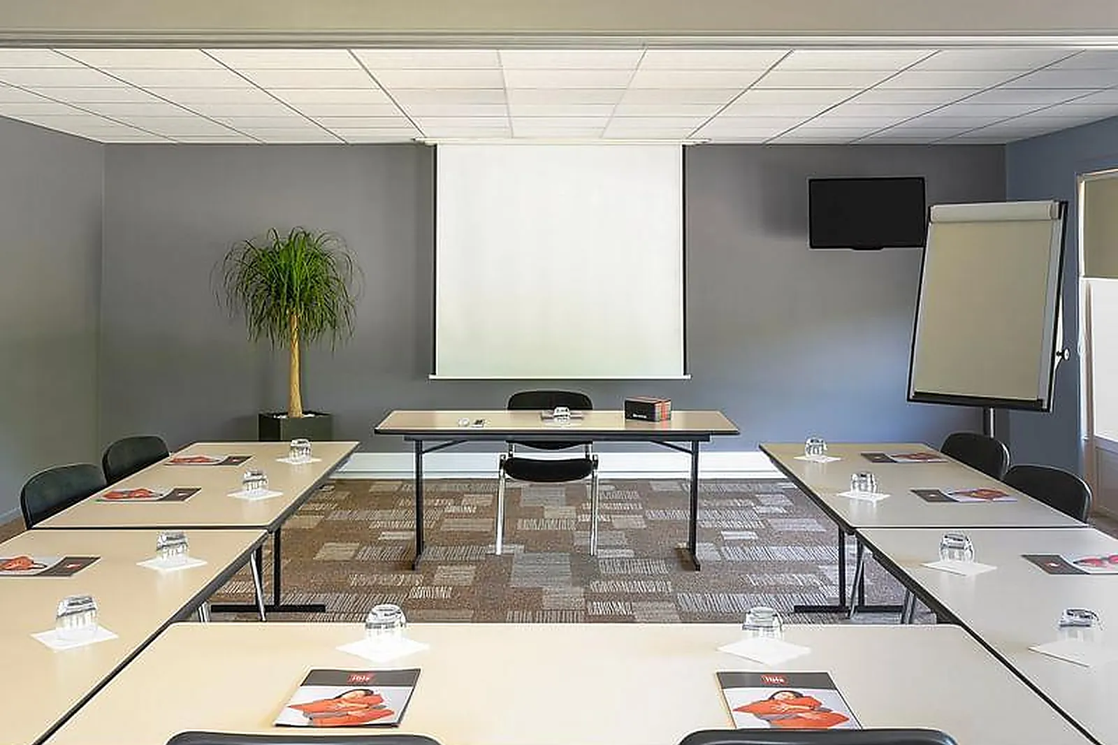 Lieux événementiels, IBIS ROANNE LE COTEAU ***