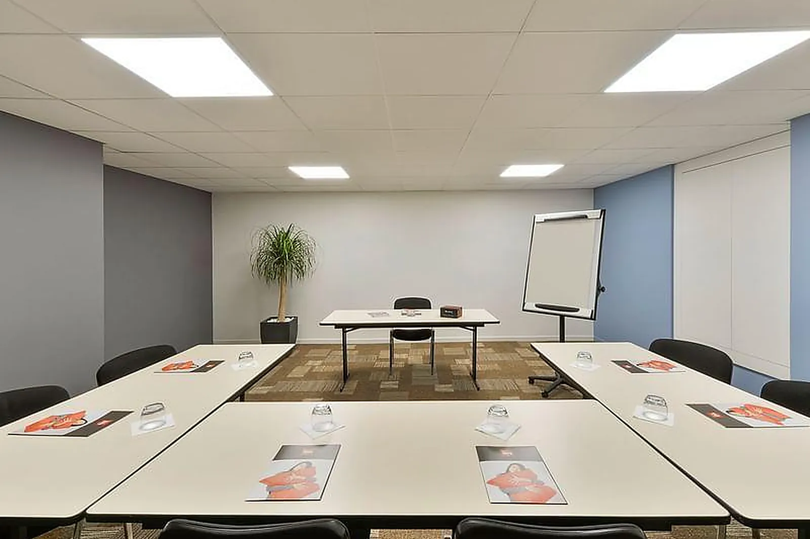 Lieux événementiels, IBIS ROANNE LE COTEAU ***