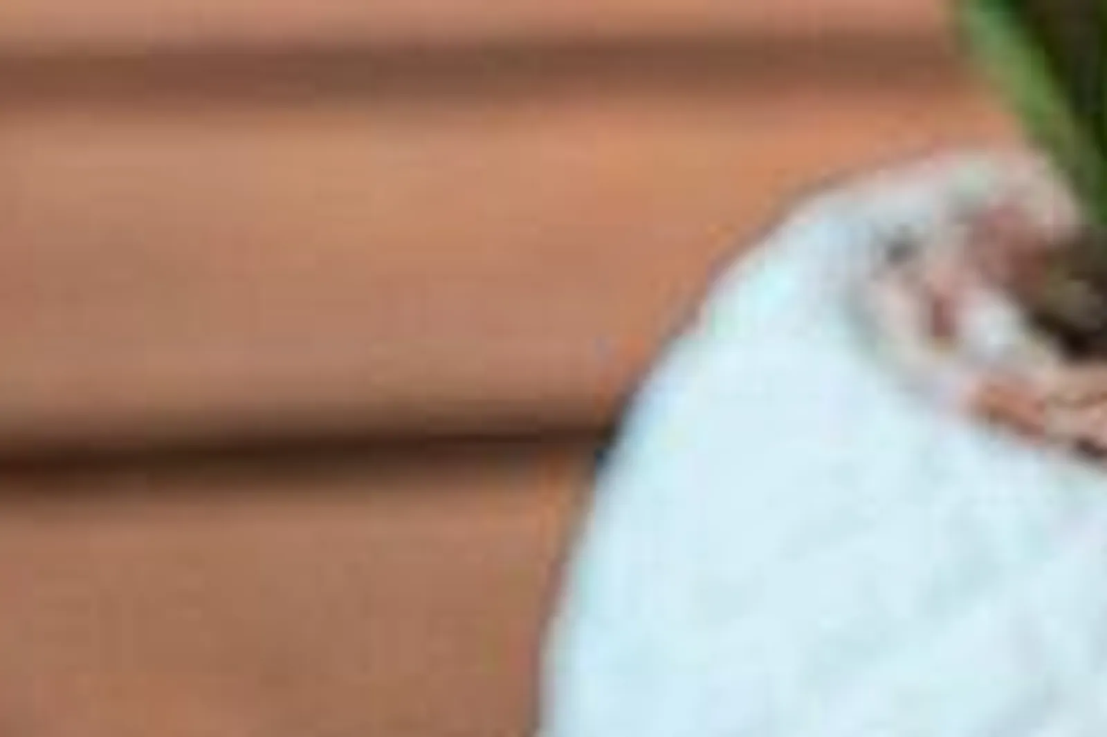 Lieux événementiels, ESPACE SALVATOR