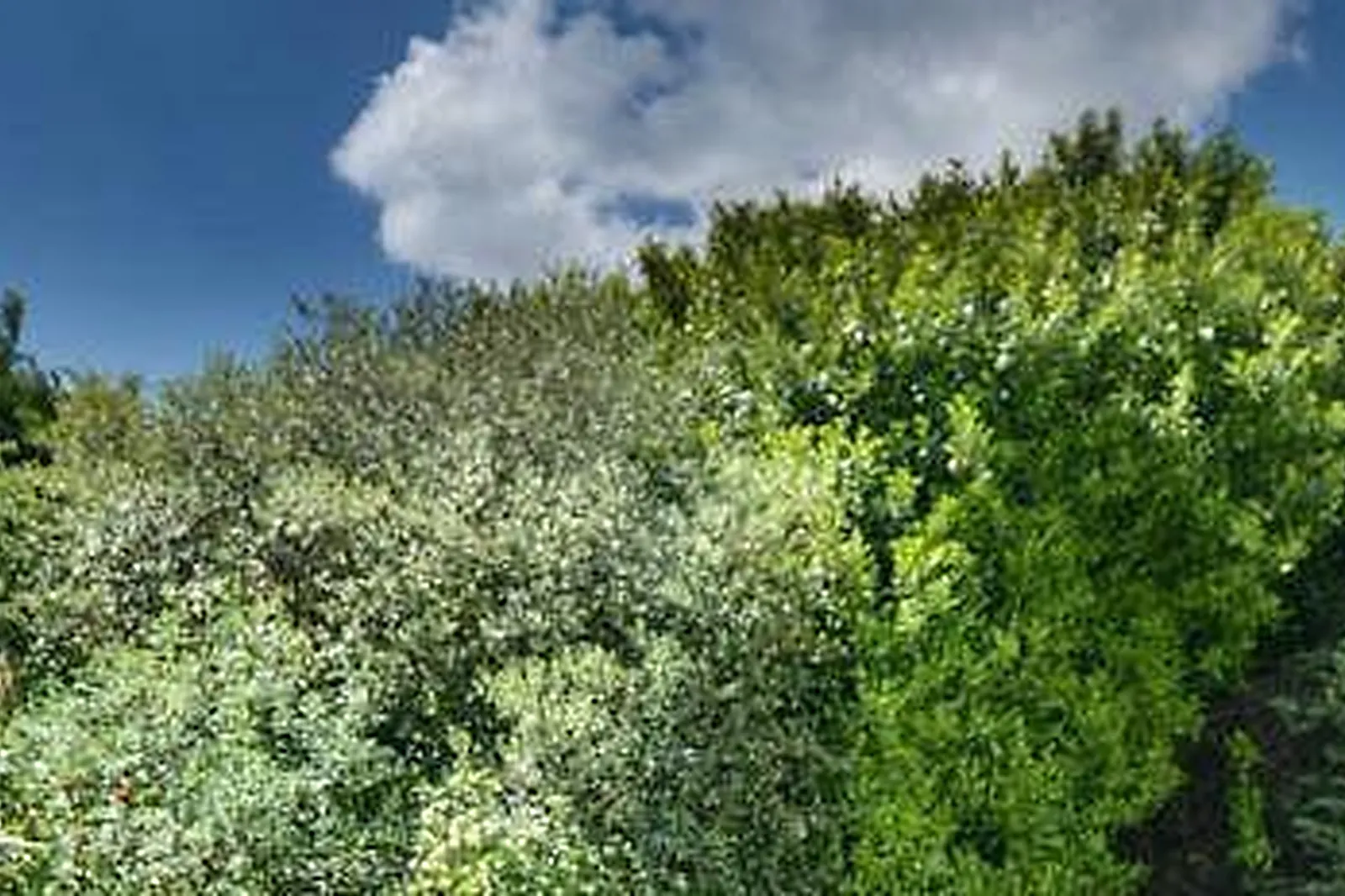 Lieux événementiels, INTER-HÔTEL LE FLORÉAL VENCE ***