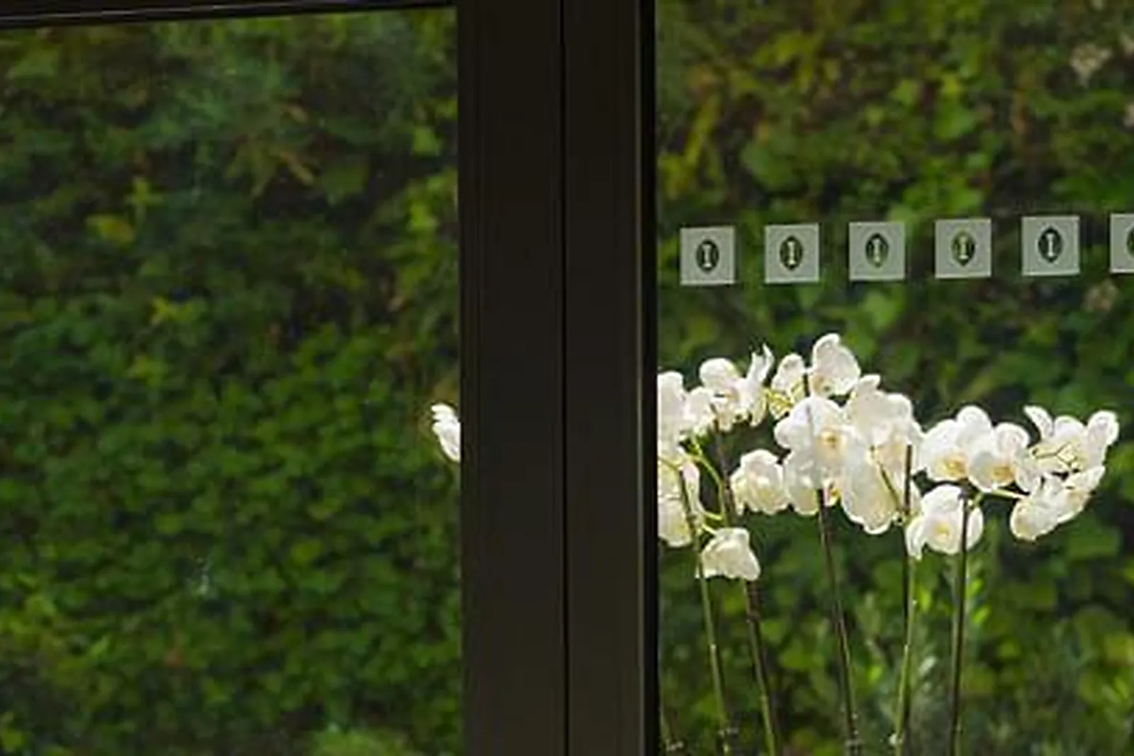 Lieux événementiels, MULTIBURO NEUILLY