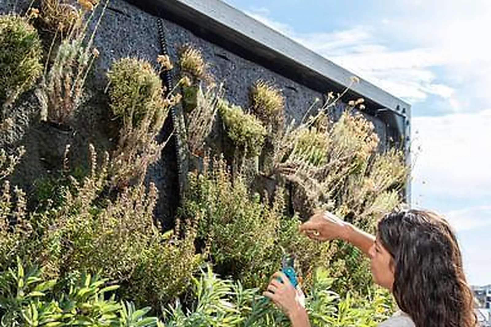 Lieux événementiels, DREAMAWAY TOULOUSE