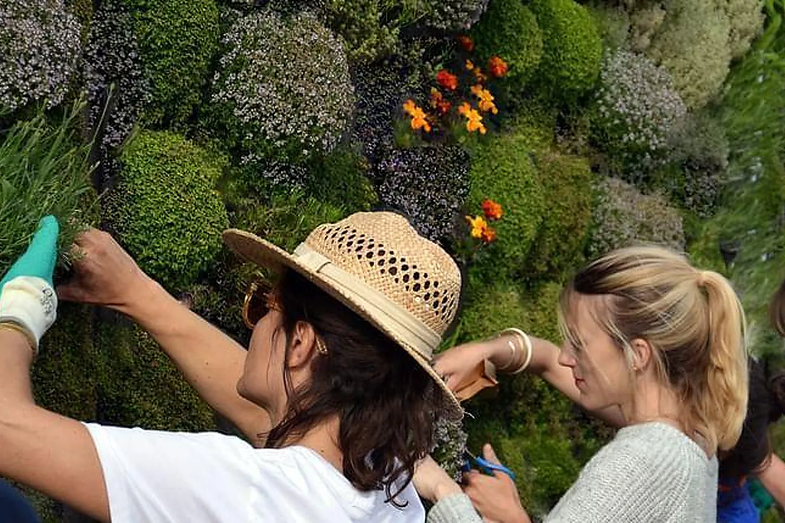 Lieux événementiels, DREAMAWAY TOULOUSE