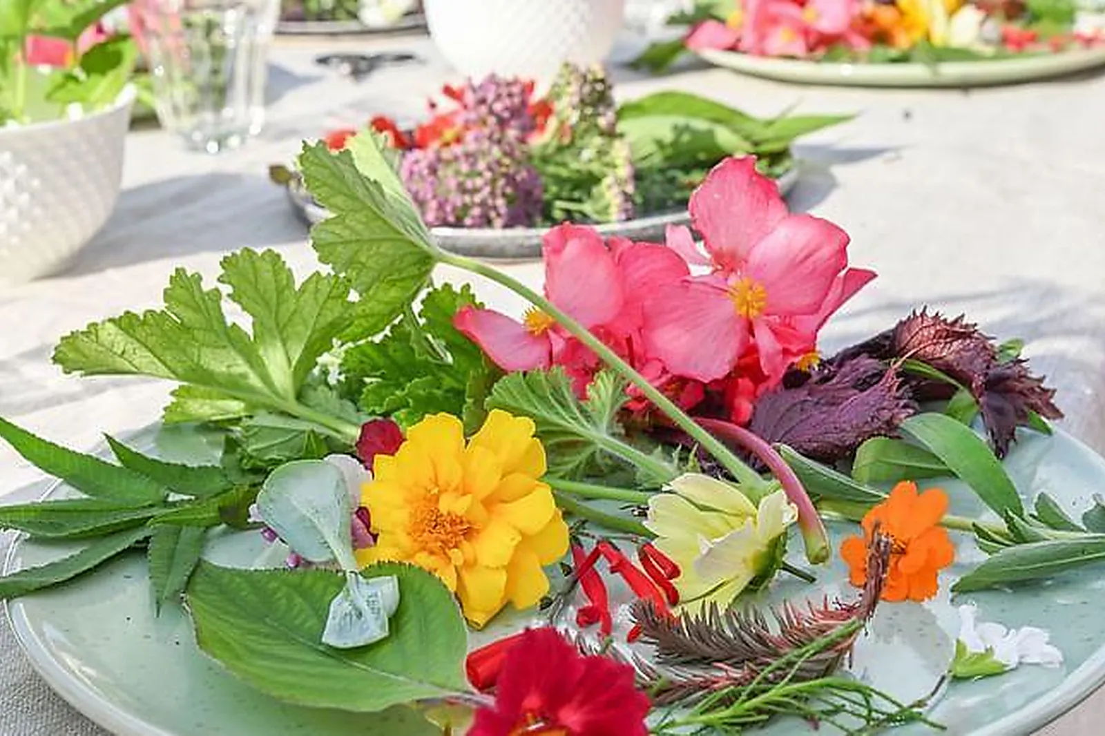 Lieux événementiels, DREAMAWAY TOULOUSE