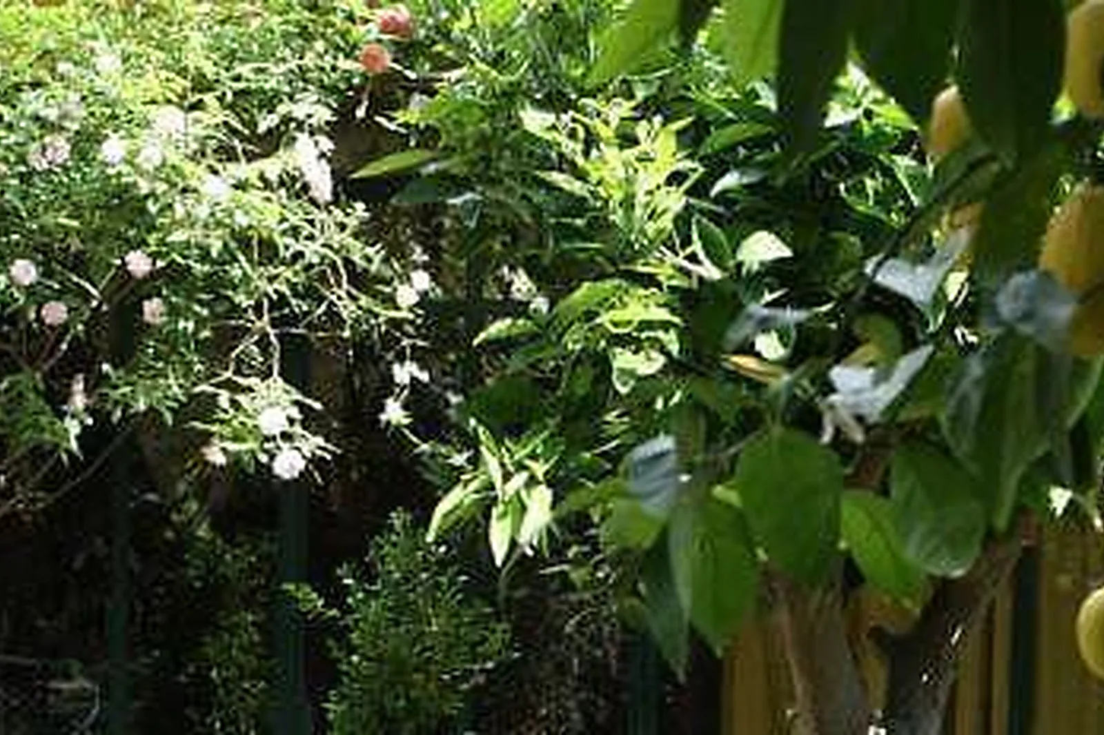 Lieux événementiels, LOFT ATYPIQUE BORDEAUX