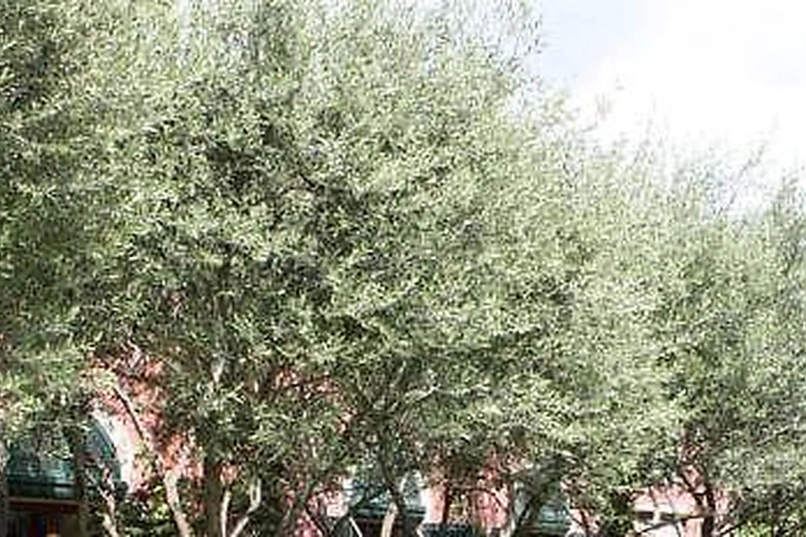 Lieux événementiels, LOFT ATYPIQUE BORDEAUX