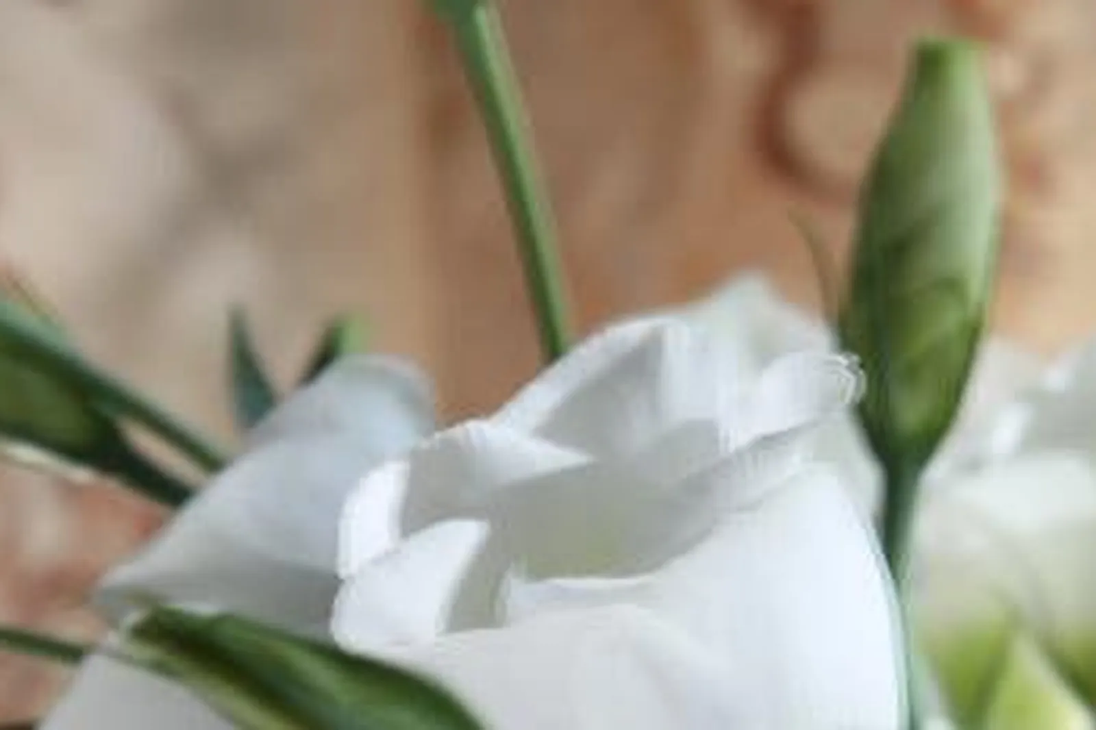 Lieux événementiels, LOFT ATYPIQUE BORDEAUX