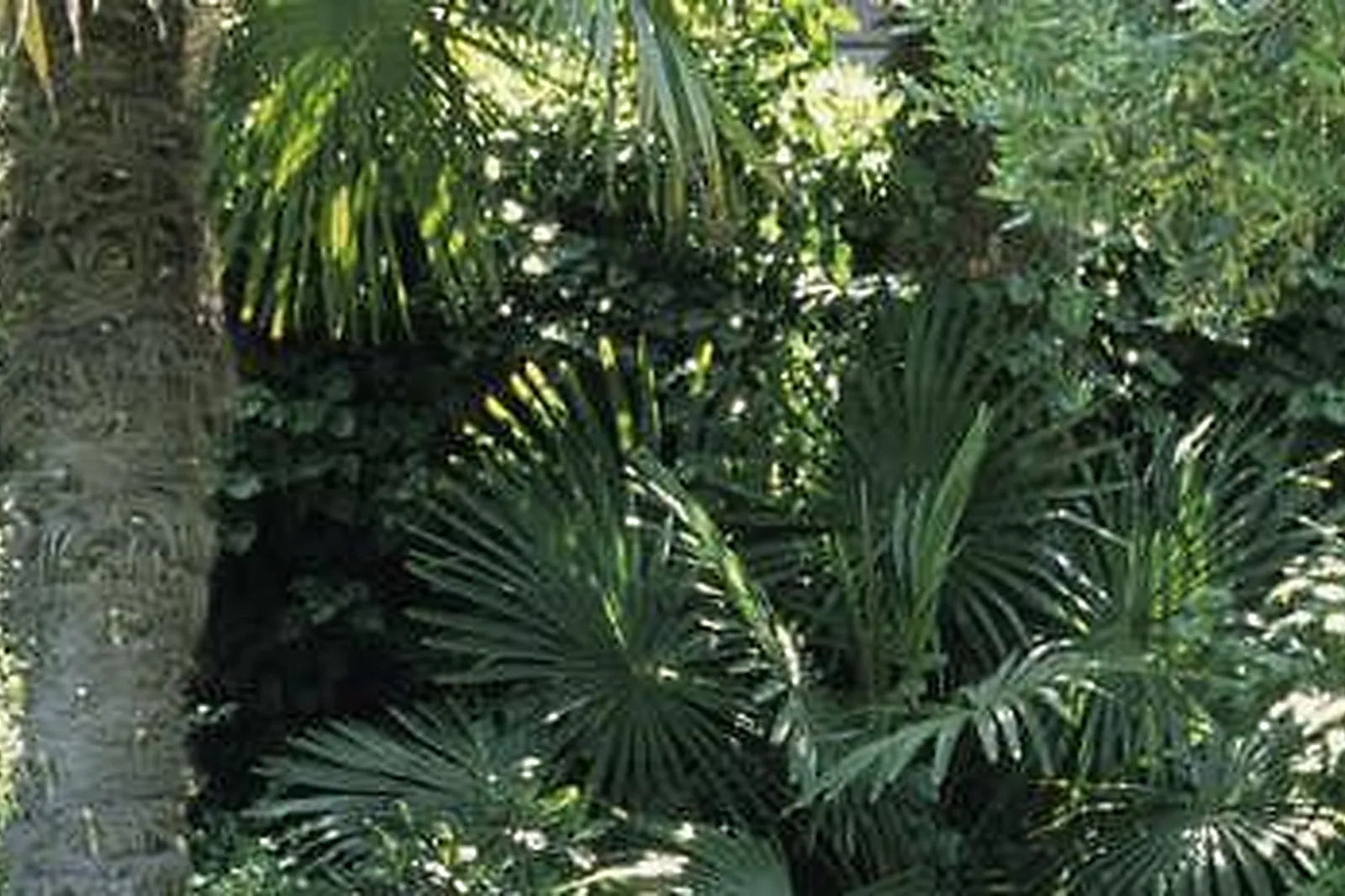 Lieux événementiels, LOFT ATYPIQUE BORDEAUX