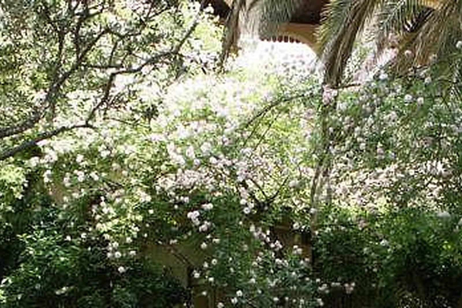 Lieux événementiels, LOFT ATYPIQUE BORDEAUX