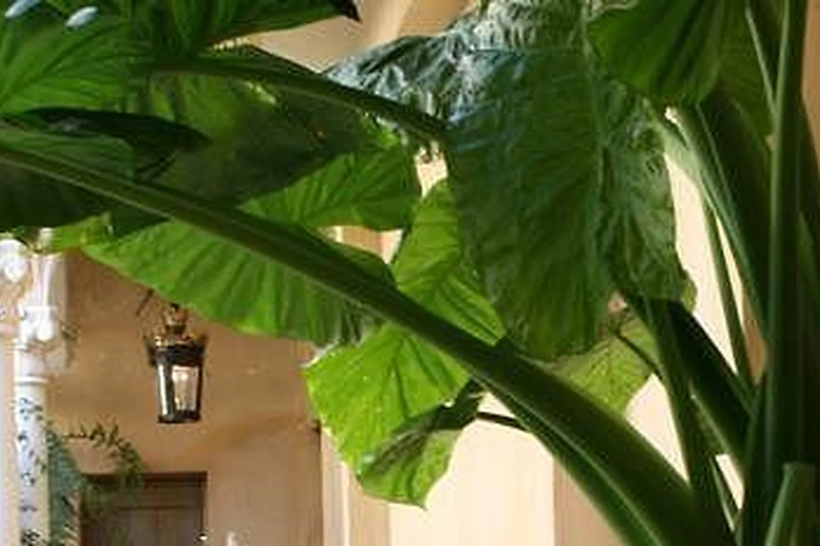 Lieux événementiels, LOFT ATYPIQUE BORDEAUX