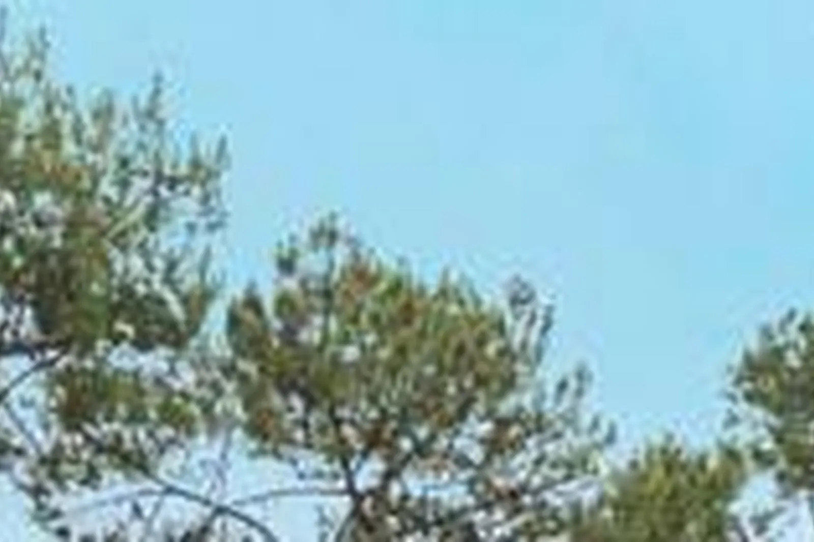 Lieux événementiels, JO&JOE HOSSEGOR