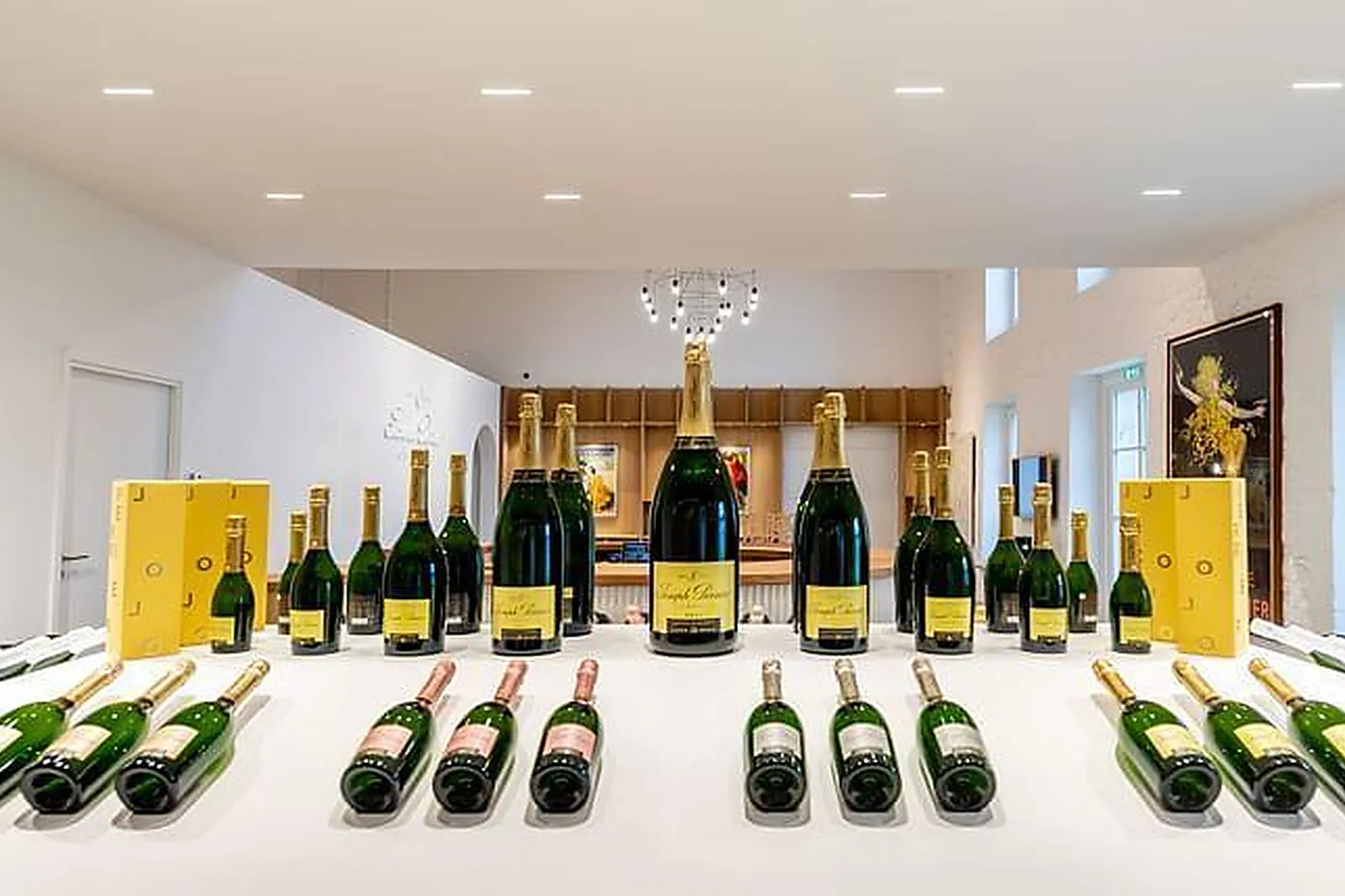 Lieux événementiels, JOSEPH PERRIER VISITE