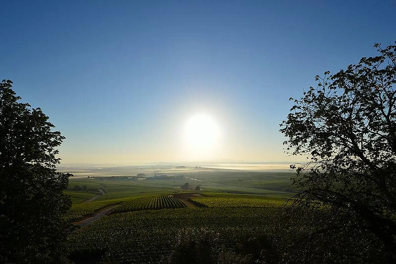 Lieux événementiels, L'AMPÉLIDIENNE