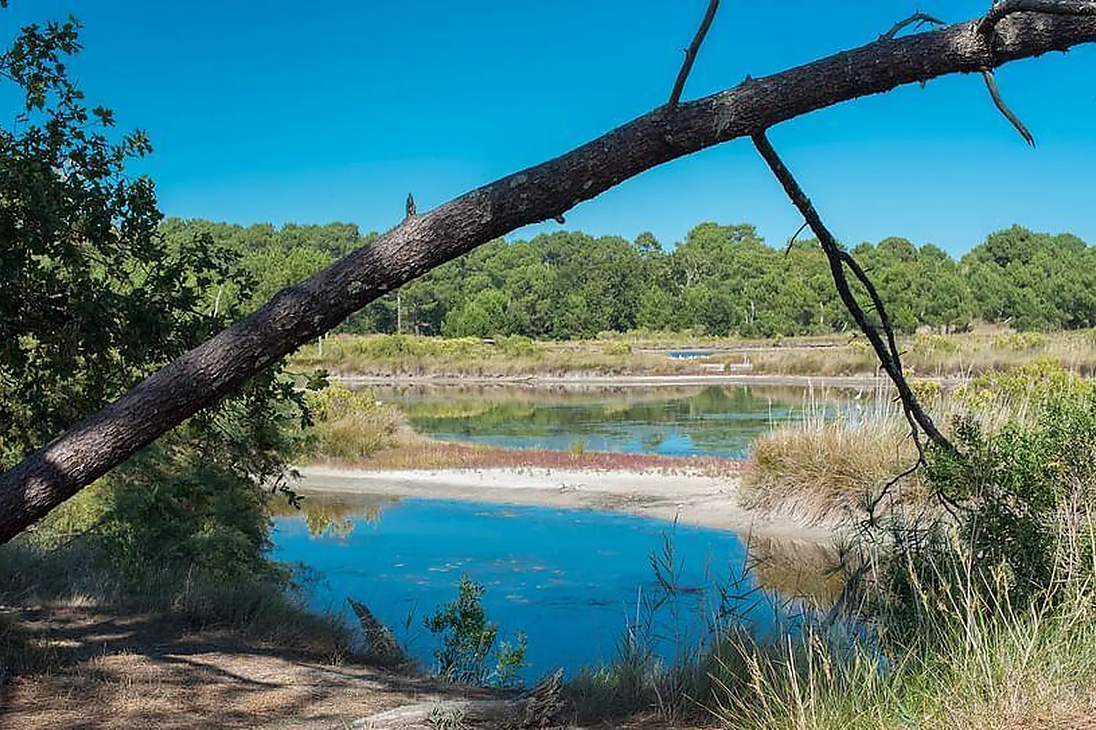 Lieux événementiels, L'ANDERENIS BOUTIQUE HÔTEL****