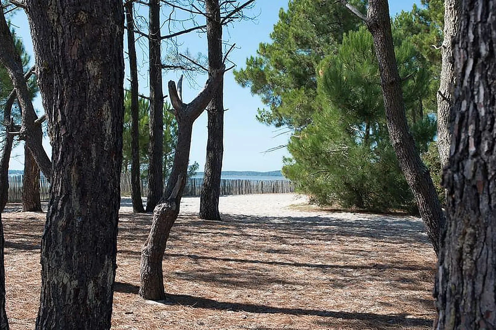 Lieux événementiels, L'ANDERENIS BOUTIQUE HÔTEL****