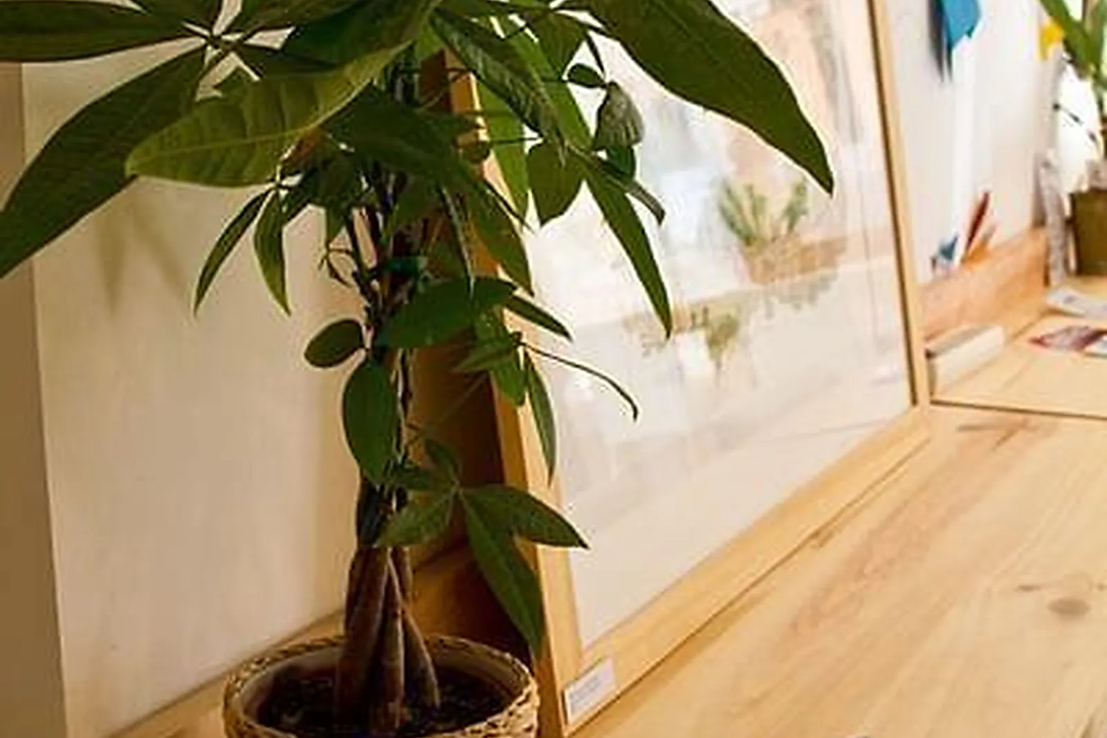 Lieux événementiels, L'ARCHIPEL