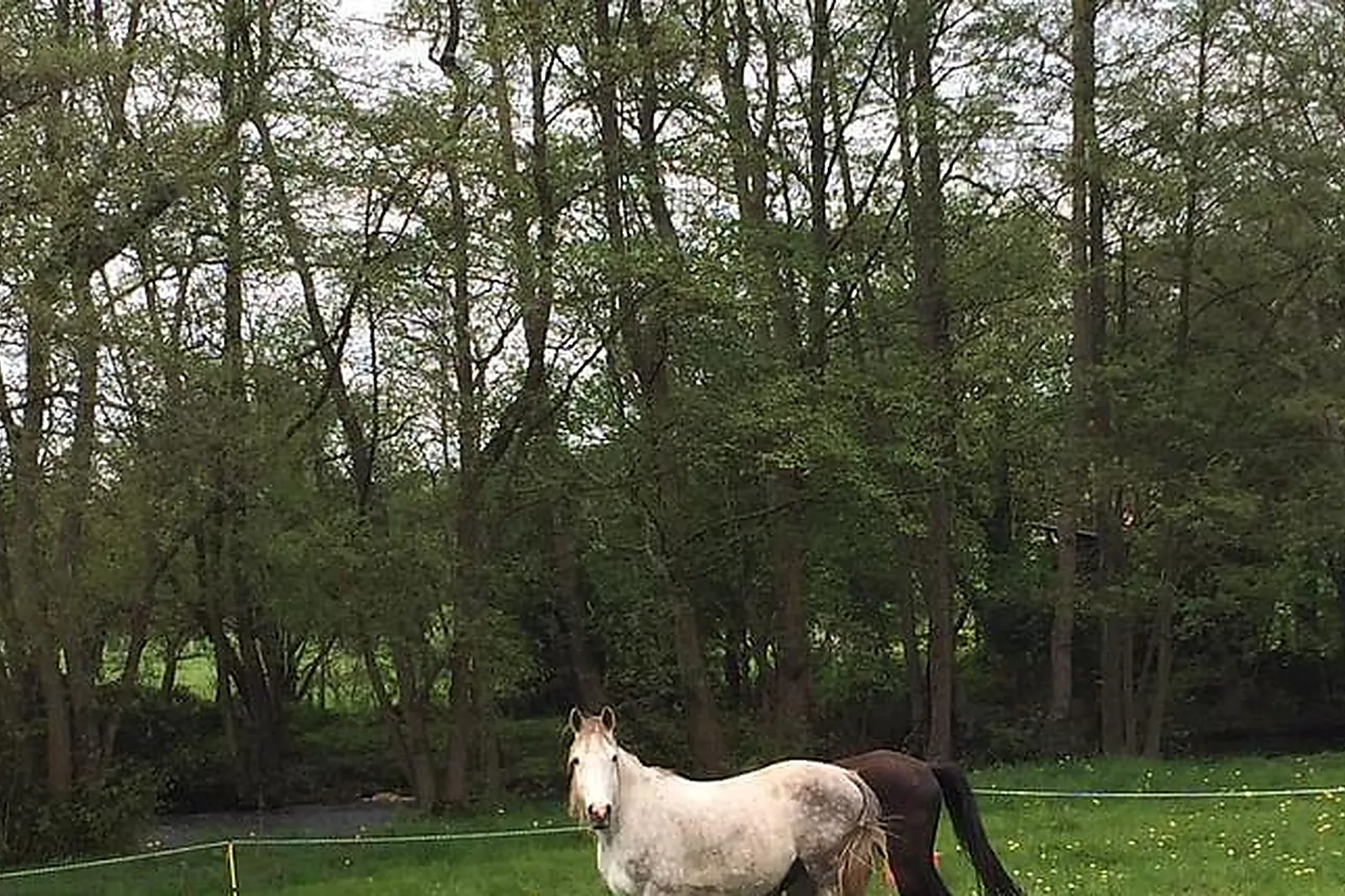Lieux événementiels, L'ECRIN DE L'ANDELLE