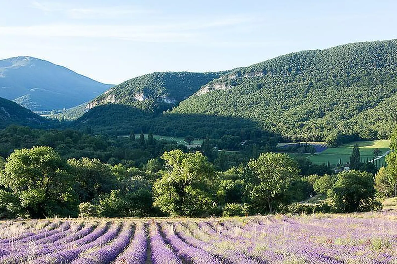 Lieux événementiels, L'ESSENTIEL DE LAVANDE