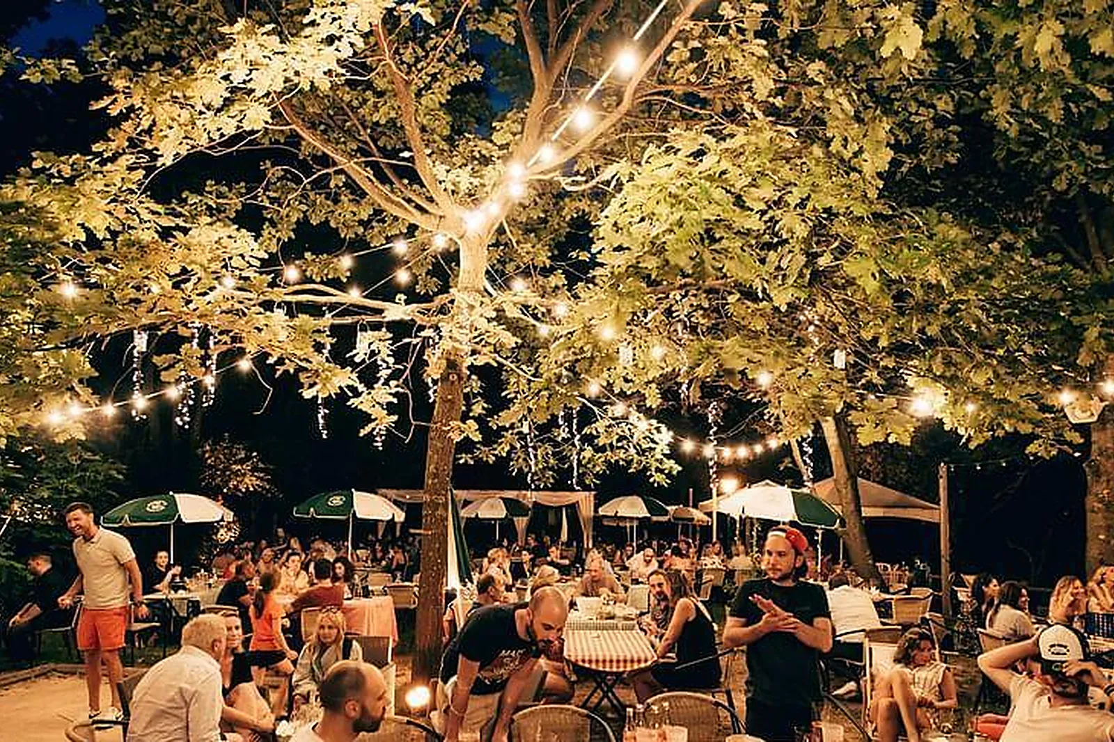 Lieux événementiels, L'ILE DU MARTIN PÊCHEUR