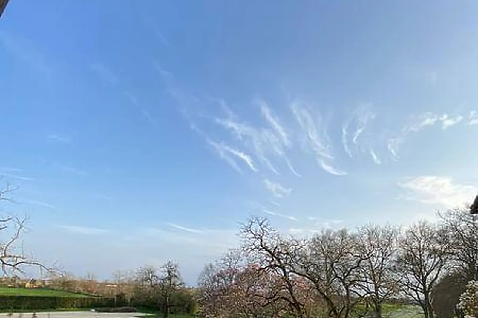 Lieux événementiels, L'ORANGERIE DES DEMOISELLES