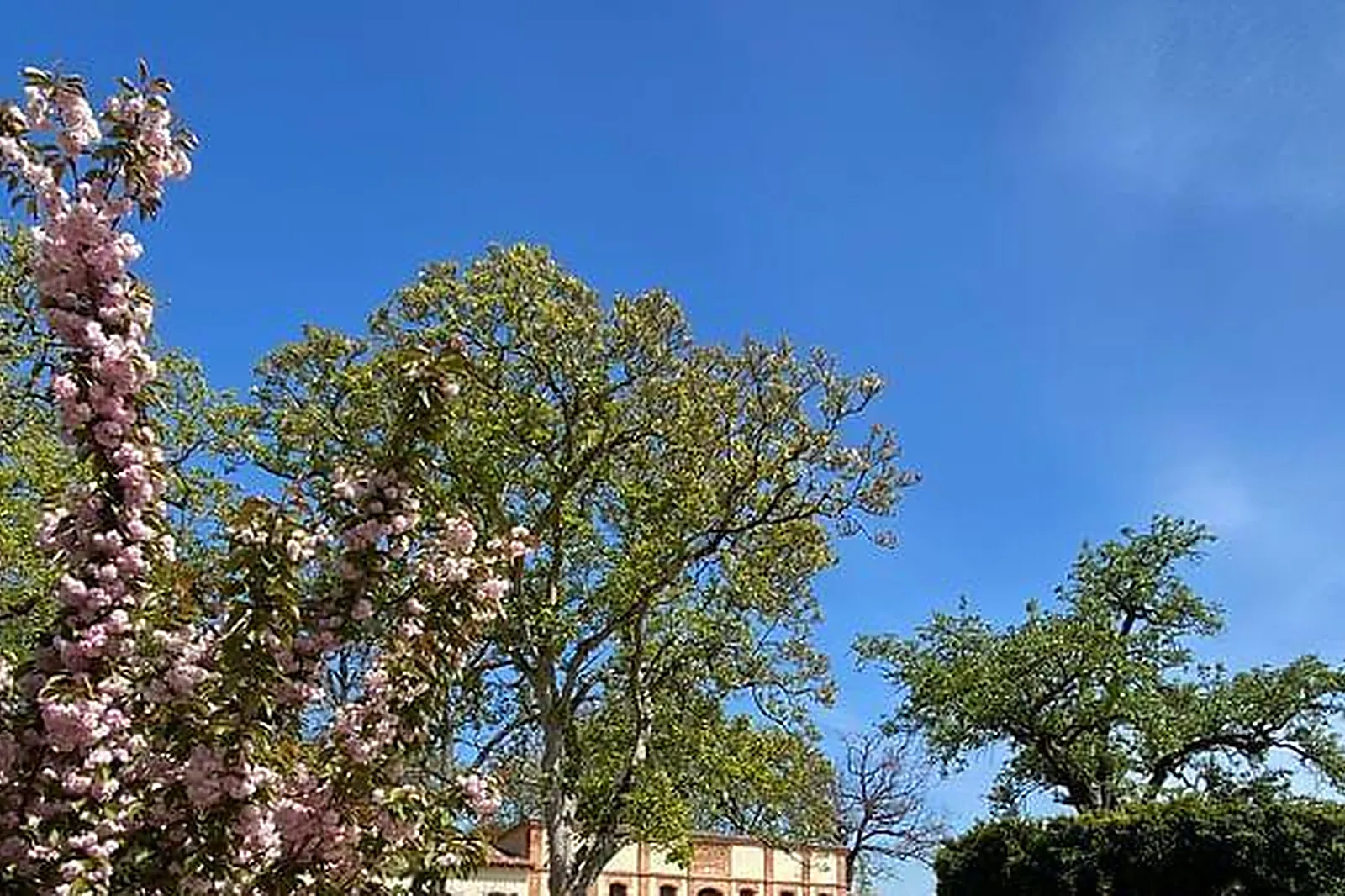 Lieux événementiels, L'ORANGERIE DES DEMOISELLES