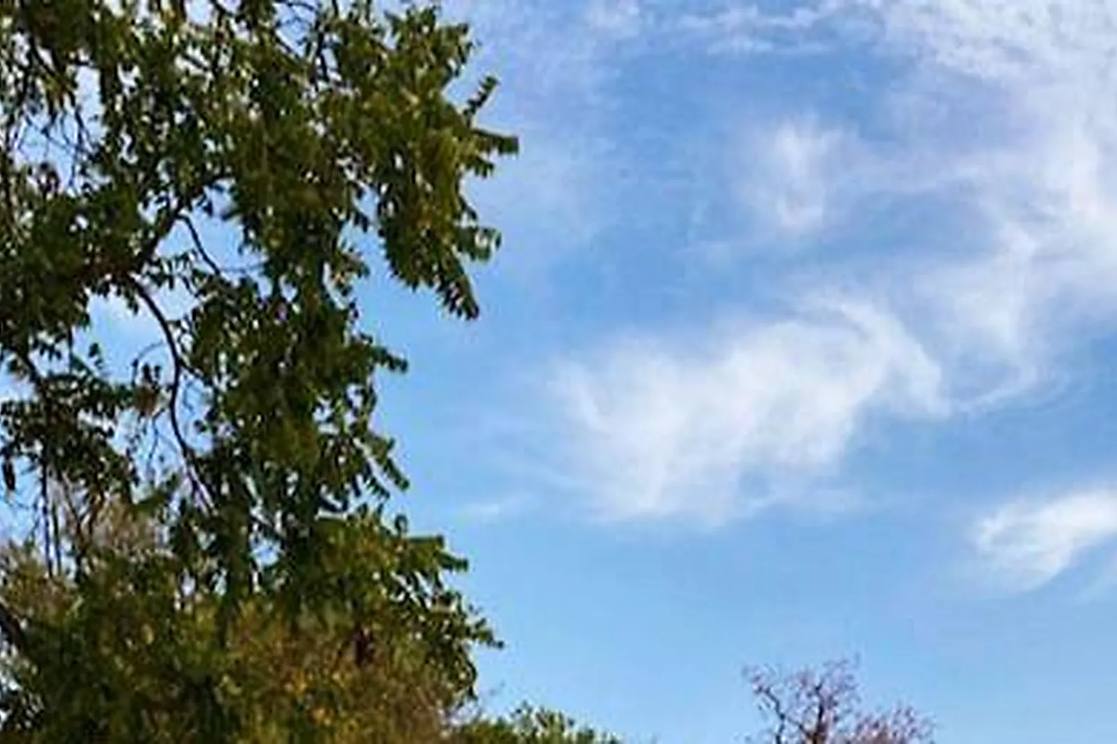 Lieux événementiels, L'ORANGERIE DES DEMOISELLES