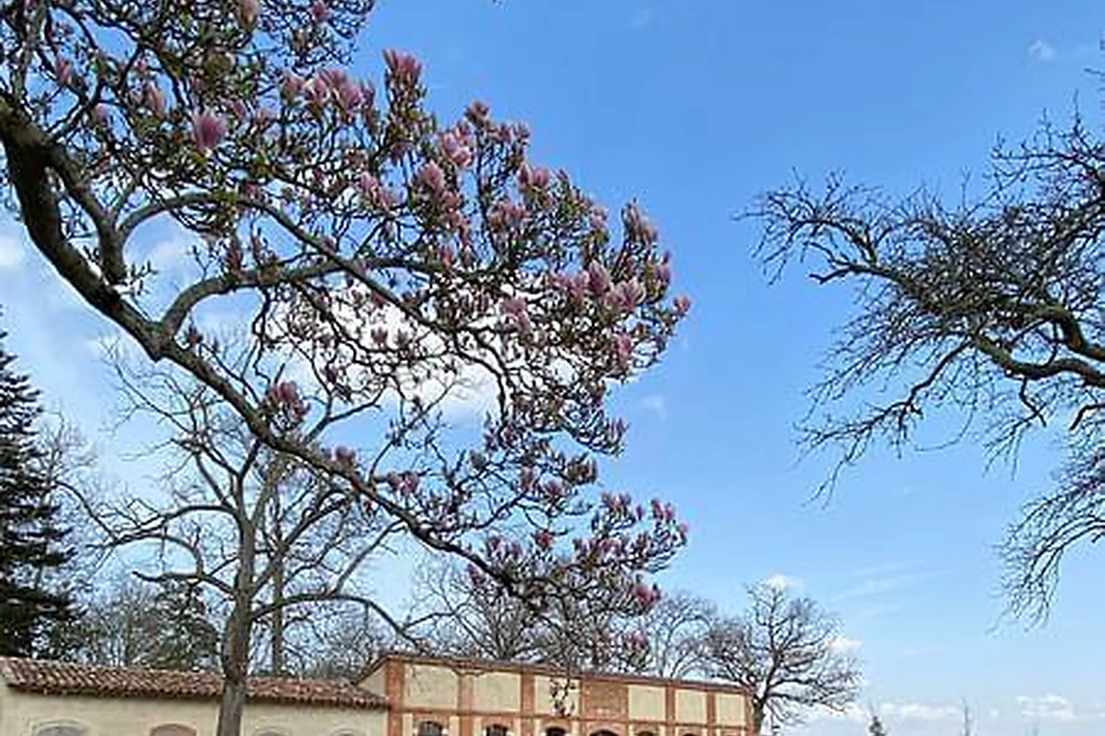 Lieux événementiels, L'ORANGERIE DES DEMOISELLES