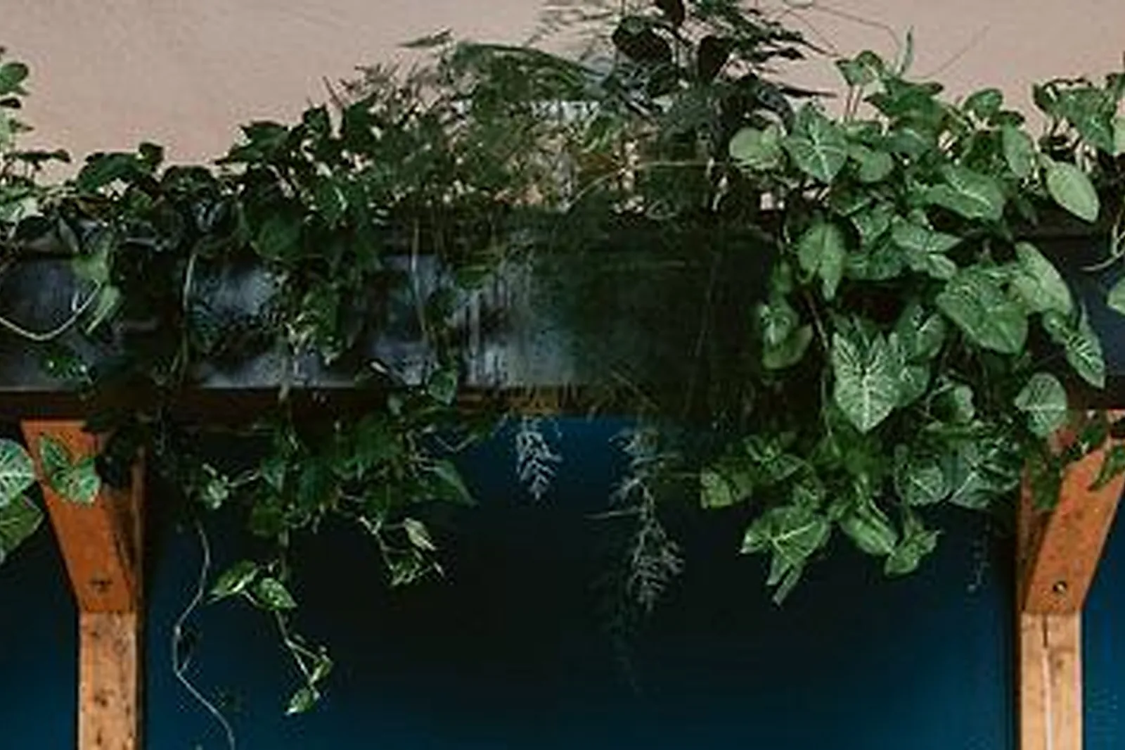 Lieux événementiels, L'USINE