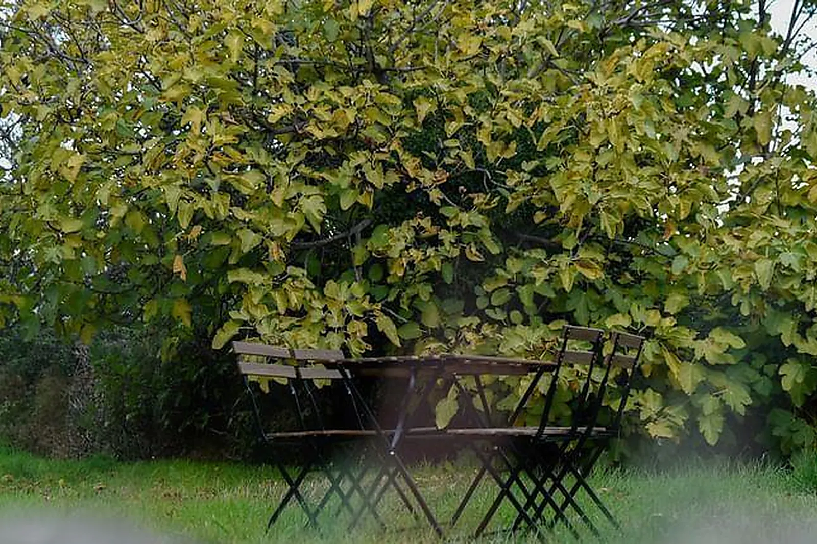 Lieux événementiels, SOFRADOM TERNES